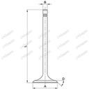 SUPAPA MOTOR BEPCO 26/42-150