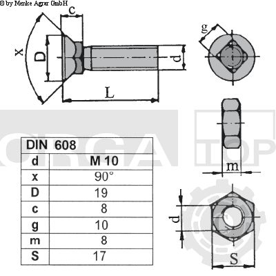 SURUB M10X40 22522