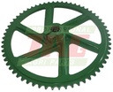 PINION Z11689