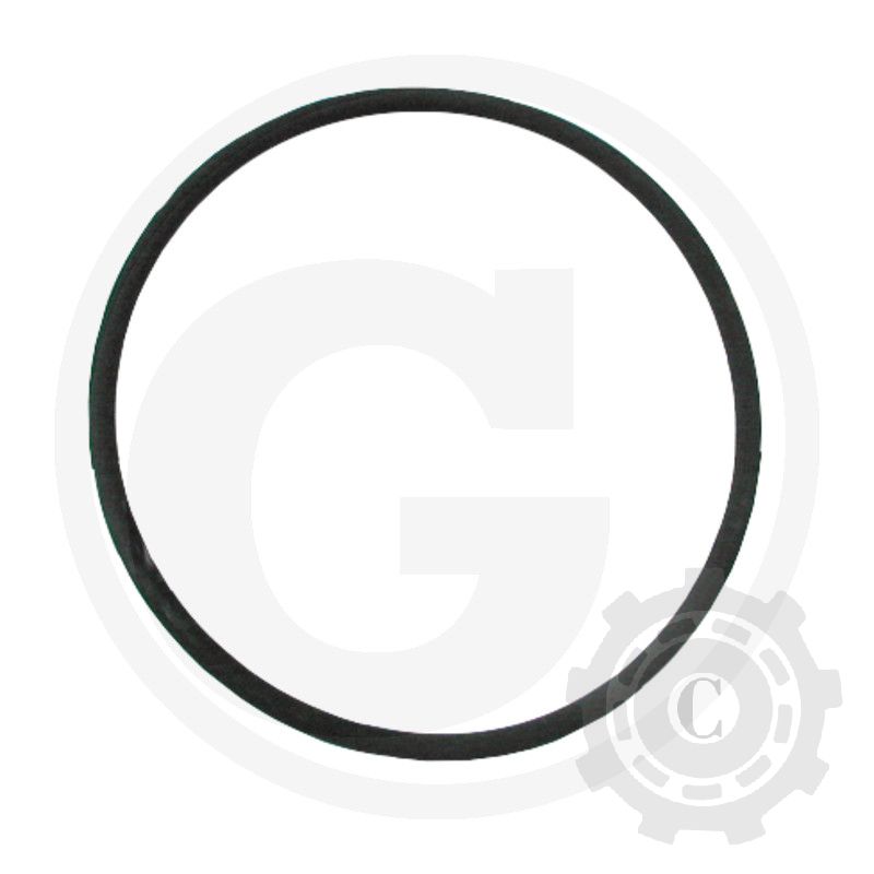 38002060 O-Ring 5.00 mm