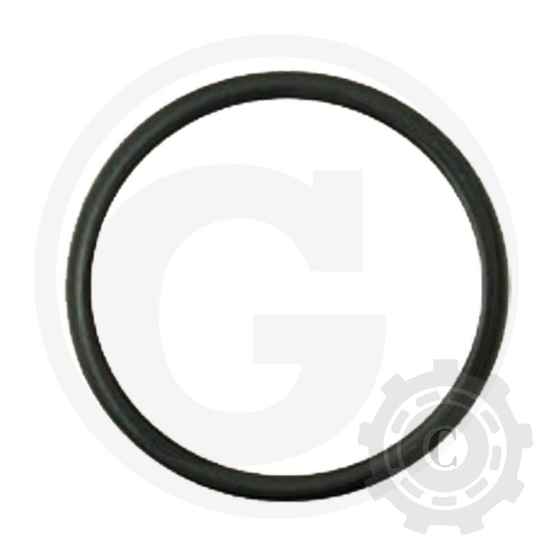 74706010 O-RING