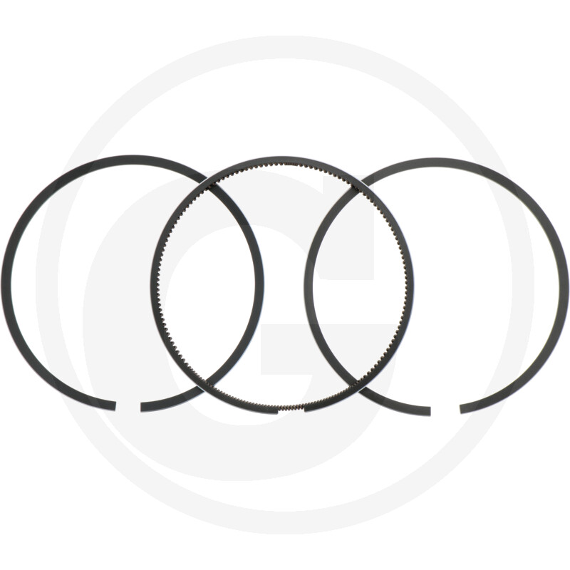 38012452 SET SEGMENTI PISTOANE