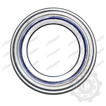 25/231-11 RULMENT BEPCO