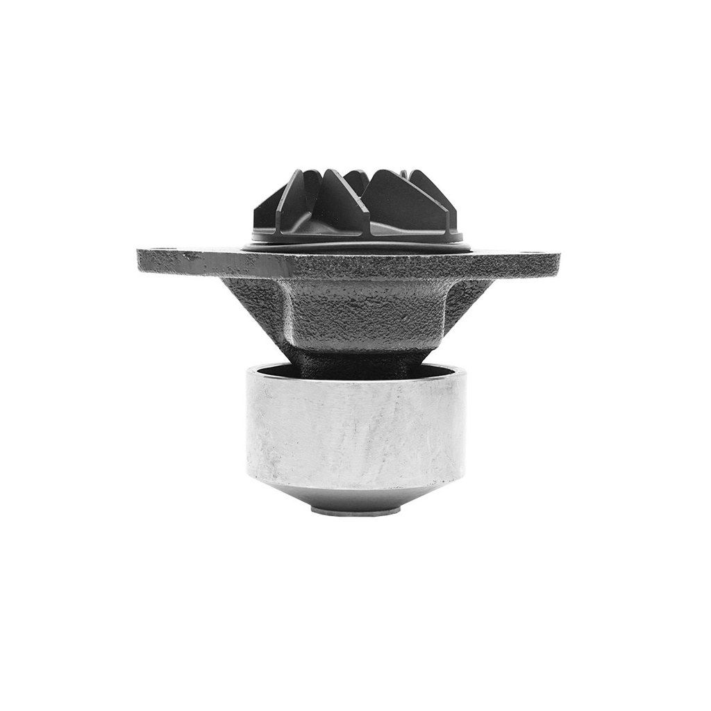 BZ71 POMPA APA CASE NH