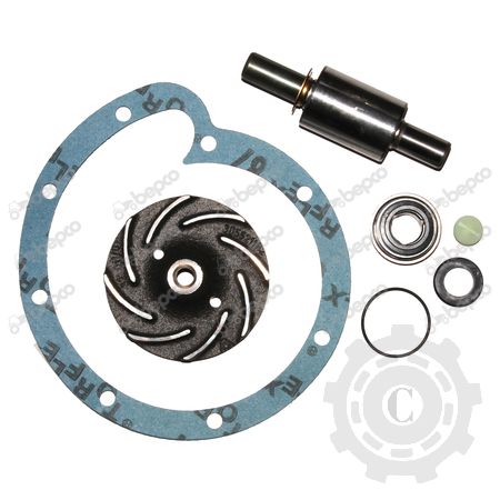 KIT REPARATIE POMPA APA 25/131-27