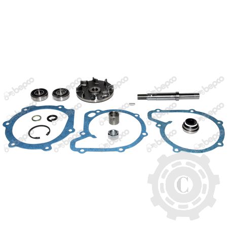 30/131-10 KIT REPARATIE POMPA APA PERKINS