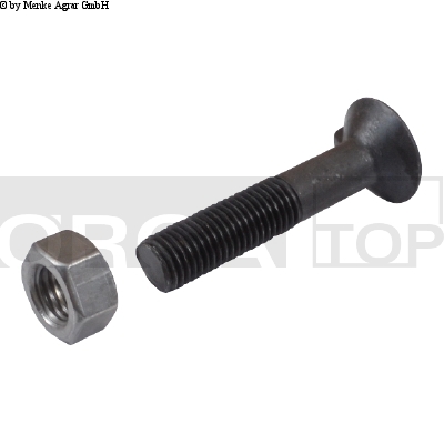 SURUB M10X50 22547