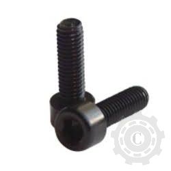 SURUB M12X100 912