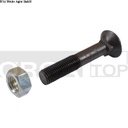 SURUB M16X90 G8.8 22543 PLUG