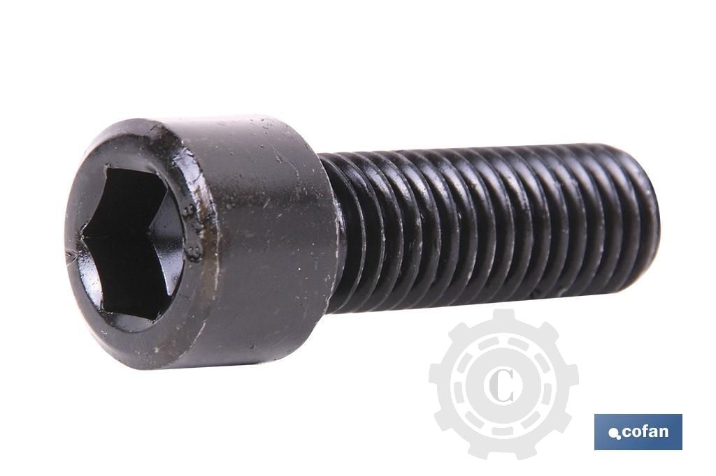 SURUB M10X30 DIN912 10.9