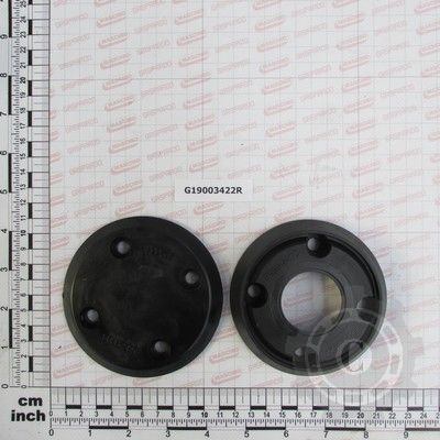 G19003422R FLANSA PORT RULMENTI