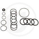 6702365 SET O-RINGURI Annovi Reverberi