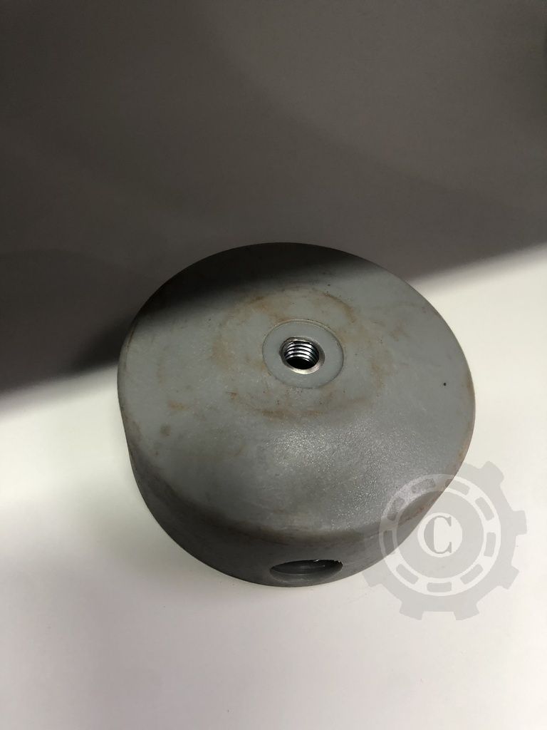 PISTON POMPA ERBICIDAT P100