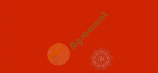 Vopsea rosie sangerie Maschio 2005- 1l