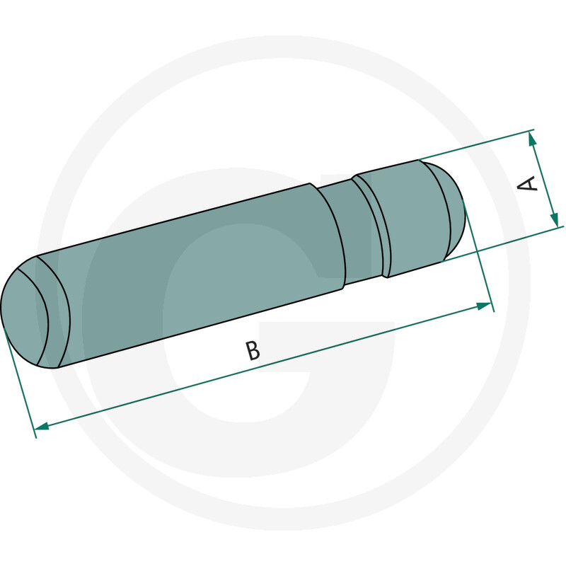 50915Z42021 BOLT SIGURANTA DINTE
