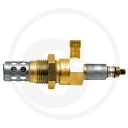 [CP000686] 38060070 BUJIE INCANDESCENTA
