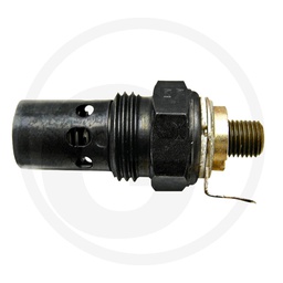 [CP000688] 38099174 BUJIE INCANDESCENTA