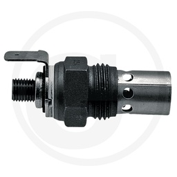[CP000689] 38099293 BUJIE INCANDESCENTA