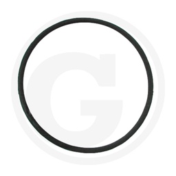 [CP001769] 38002060 O-Ring 5.00 mm