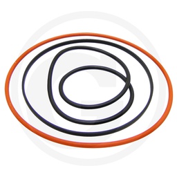 [CP001782] 38012453 O-RING
