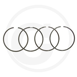 [CP001785] 38006359 SET SEGMENTI DE PISTON
