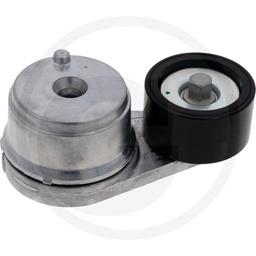 [CP001977] 74712520 INTINZATOR CUREA