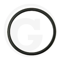[CP001999] 74706010 O-RING