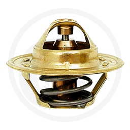 [CP001225] 74703012 TERMOSTAT
