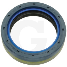 [CP000960] 419641735 SEAL RING 45X60X17 SF ER641735