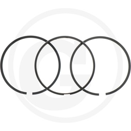 [CP001206] 38012452 SET SEGMENTI PISTOANE