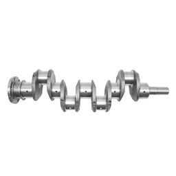 [CP001300] 103.03.010 ARBORE COTIT U650
