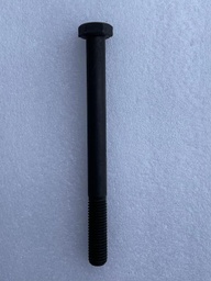 [CP011526] SURUB M18X180 931 8.8