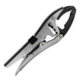 [CP009579] CLESTE  53676