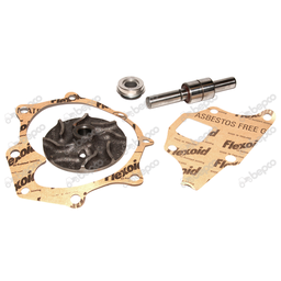 [CP017262] KIT REPARATIE POMPA APA FORD