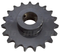 [CP028205] PINION 646126.0
