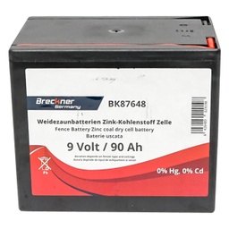 [CP020152] ACUMULATOR BK87648