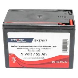 [CP020151] ACUMULATOR BK87647