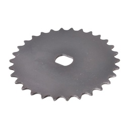 [CP029456] ROATA LANT SPC Z30 - 05.00.37C BF27