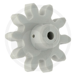[CP028242] PINION KVENERLAND AC489809