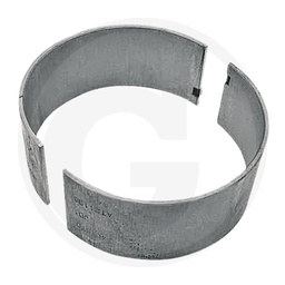 [CP001448] 38012081 CUZINET