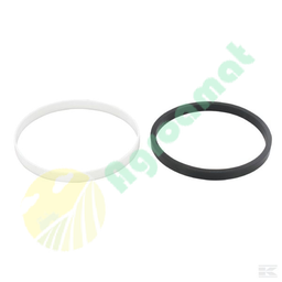 [CP005752] AL39167