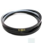 [CP009346] 614242.A CUREA GATES