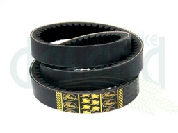 [CP016394] 80919739.A CUREA GATES