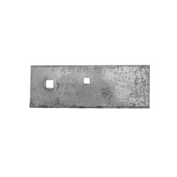 [CP016514] PLAZ SCURT B