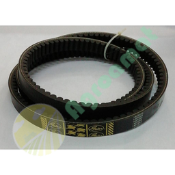 [CP016694] 0006712090 curea