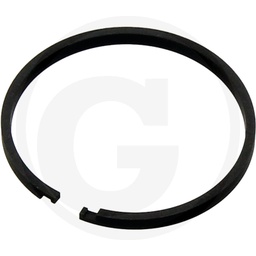 [CP017619] 380120204 Segmenti